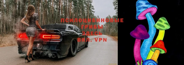 МДМА Арсеньев