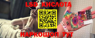 шишки Заволжье