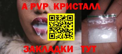 шишки Заволжье