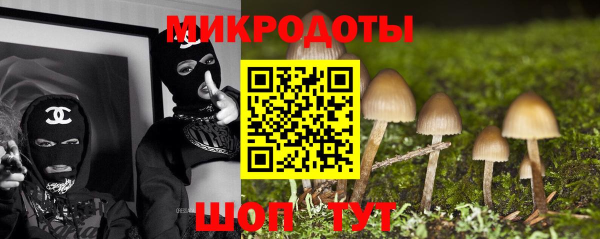 Псилоцибиновые грибы прущие грибы Волжский