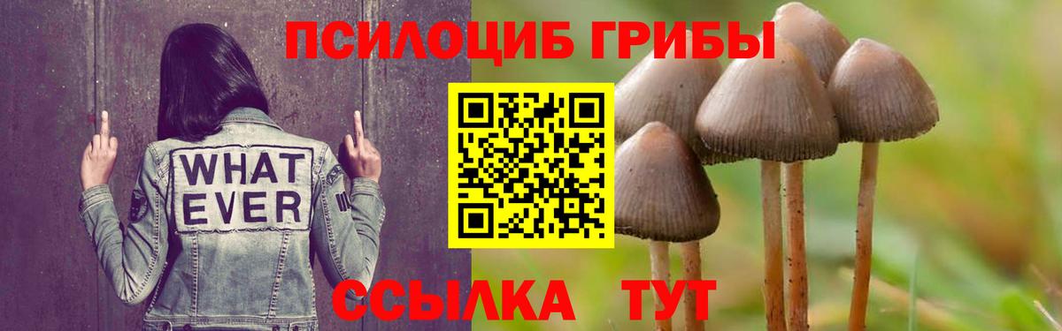 Псилоцибиновые грибы прущие грибы  Вход с VPN  Волжский 